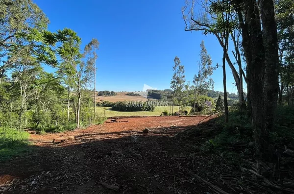 Área rural para venda, Linha Dourado, Erechim