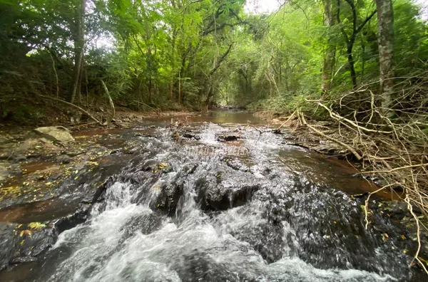 Chácara para venda, Barão De Cotegipe