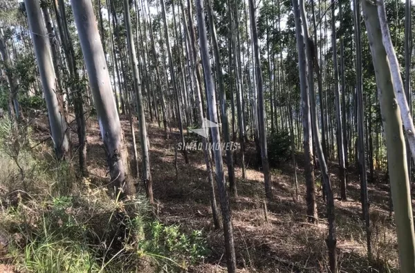 Área rural para venda Benjamin Constant do Sul