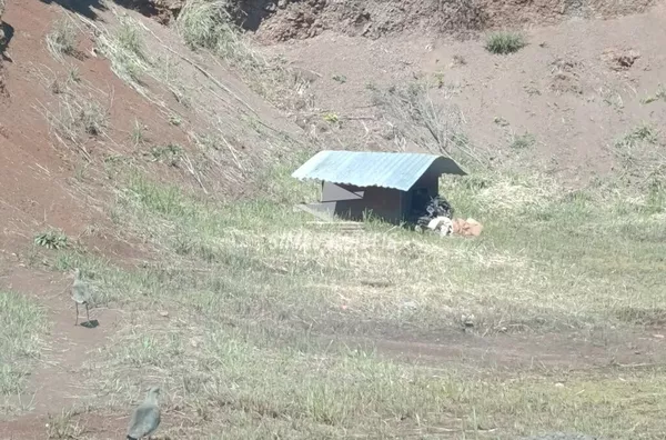 Casa para venda, 2 quarto(s),  Novo Atlântico, Erechim