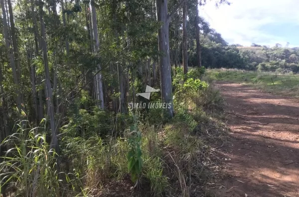 Área rural para venda Benjamin Constant do Sul