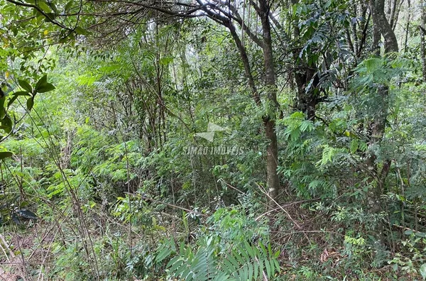 Terreno para venda,  Bairro Esperança, Erechim