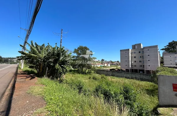 Terreno para venda,  Bairro Aldo Arioli, Erechim