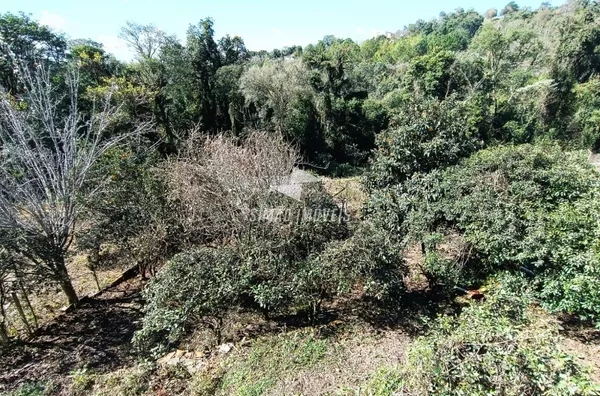 Casa 4 quartos para venda,  Centro, Erechim