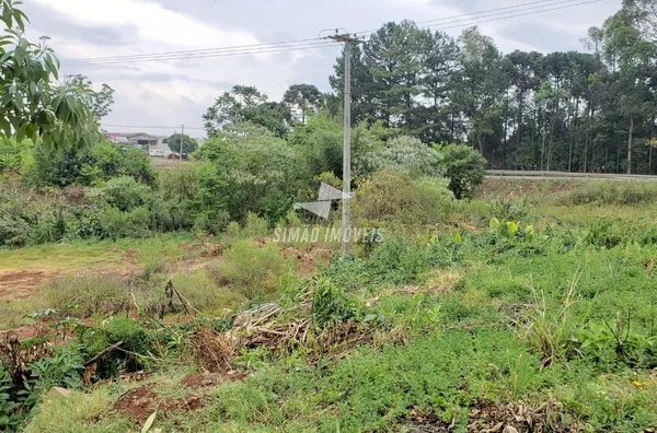 Chácara para venda Bairro Novo Atlântico Erechim