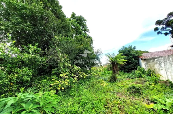 Terreno para venda, Bairro Centro, Erechim