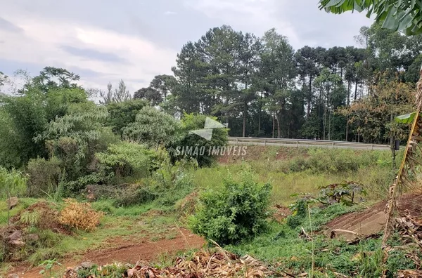 Chácara para venda Bairro Novo Atlântico Erechim