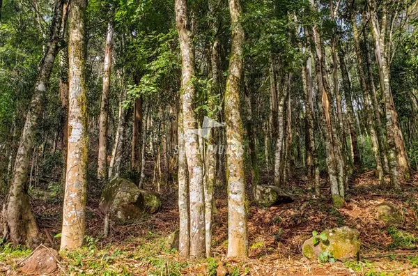 Terreno para venda Bairro Esperança Erechim