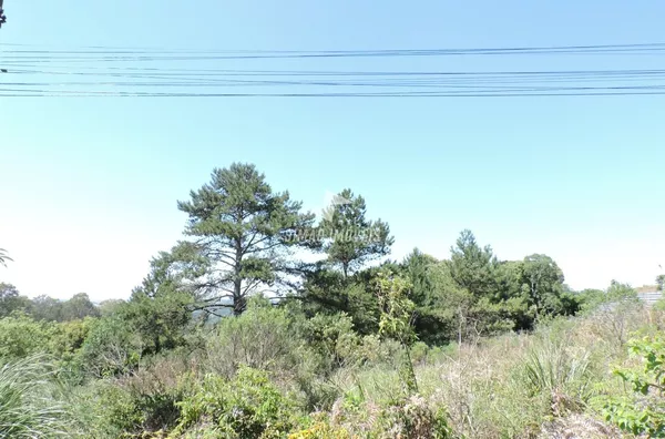 Chácara para venda Bairro Frinape Erechim