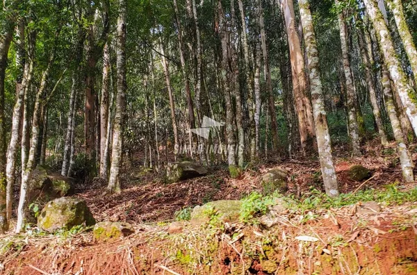 Terreno para venda Bairro Esperança Erechim