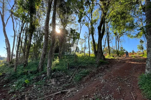 Área rural para venda, Linha Dourado, Erechim