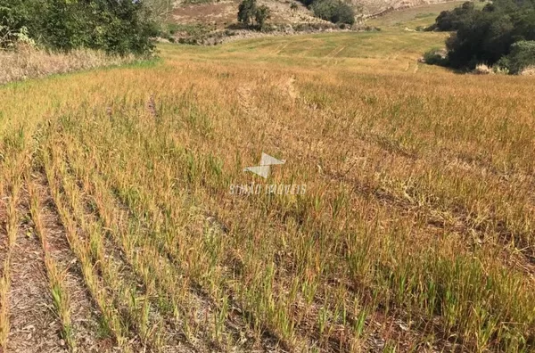 Área rural para venda Benjamin Constant do Sul