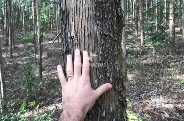 Área rural para venda Benjamin Constant do Sul