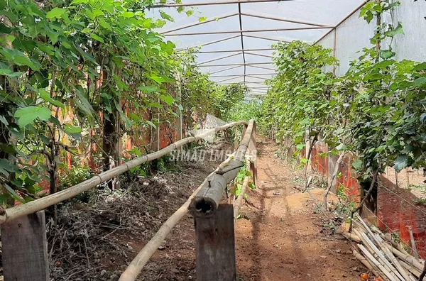 Chácara para venda,  Bairro Paiol Grande, Erechim