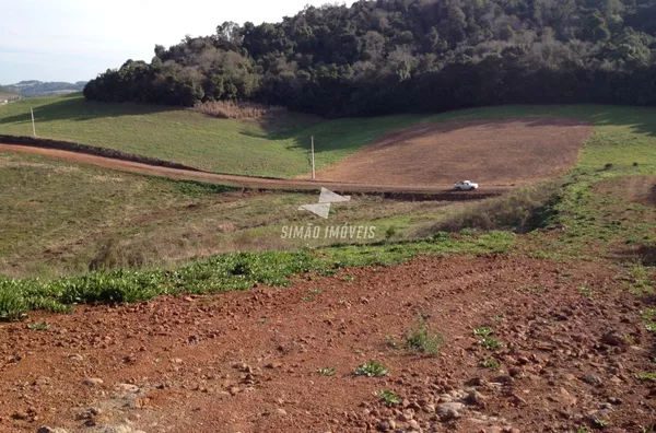 Terreno para venda  paulo bento