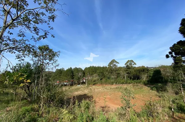 Chácara para venda, Bairro Frinape, Erechim