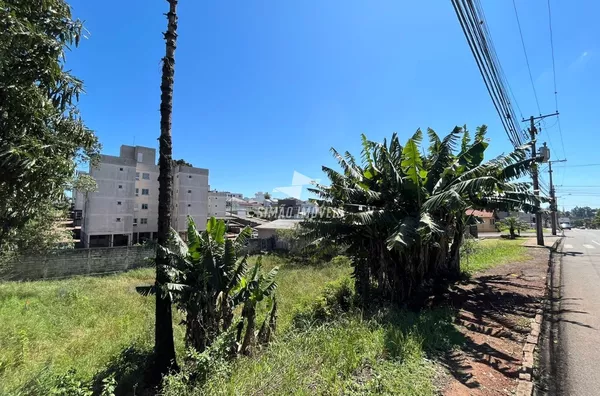 Terreno para venda,  Bairro Aldo Arioli, Erechim
