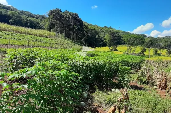 Chácara para venda,  Bairro Paiol Grande, Erechim