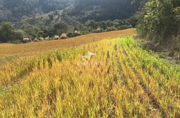 Área rural para venda Benjamin Constant do Sul