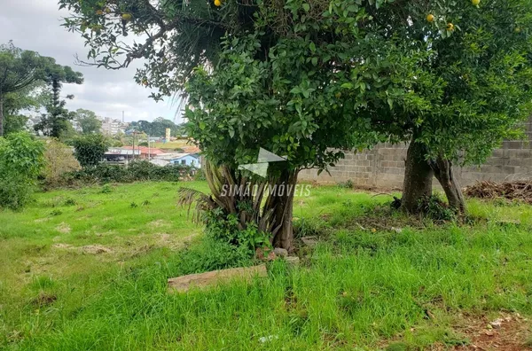 Terreno para venda Bairro Morada do Sol Erechim