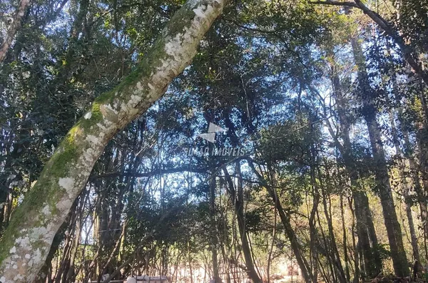 Chácara para venda,  - Selecione - Bairro Linha Três Secção Dourado, Erechim