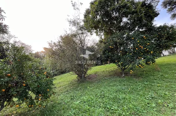 Terreno para venda, Bairro Esperança, Erechim