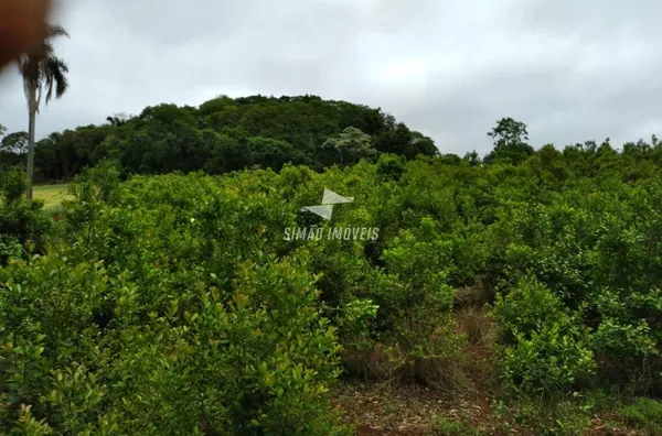 Área rural Barão de Cotegipe