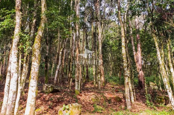 Terreno para venda Bairro Esperança Erechim