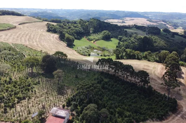 Terreno para venda, BR 153, Erechim