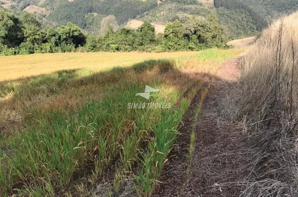 Área rural para venda Benjamin Constant do Sul