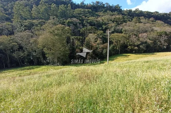 Área rural 38 hectares para venda, Erechim