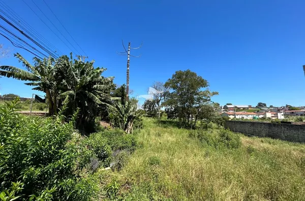 Terreno para venda,  Bairro Aldo Arioli, Erechim