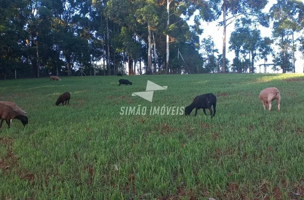 Chácara para venda, Bairro Agrícola, Erechim