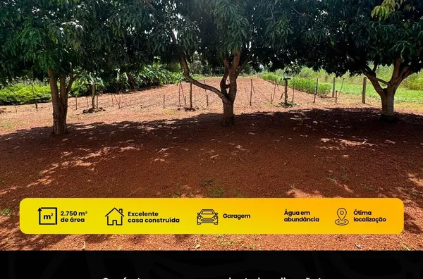 Chácara para venda, - Selecione - Bairro, Confresa Mt - Foto 6