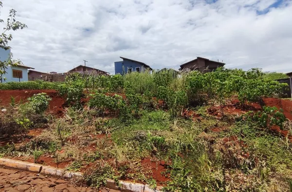 Terreno para venda,  Trentini, Panambi