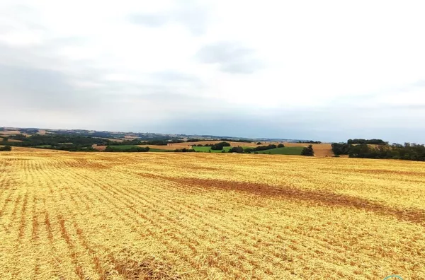 Fazenda para venda,  Linha Maraney, Panambi