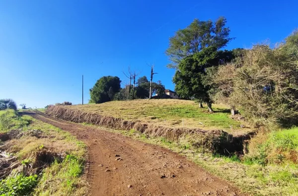 Fazenda para comprar,  Linha Assis Brasil, Panambi