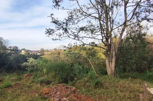 Terreno para venda,  Erica, Panambi