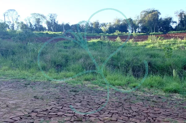 Terreno para venda,  Erica, Panambi