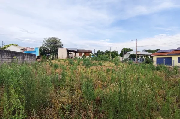 Terreno para ,  Pavão, Panambi