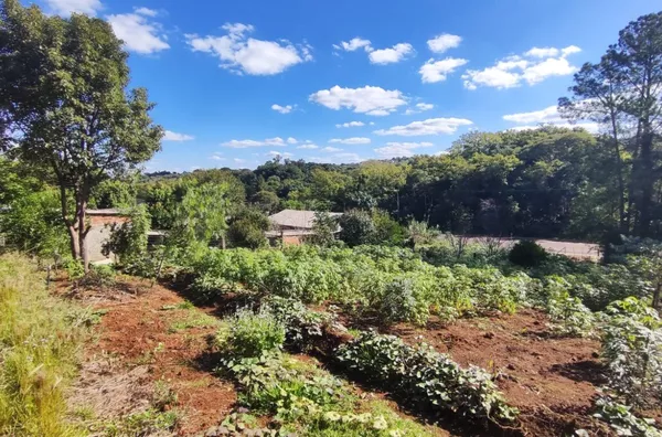 Terreno para venda,  Becker, Panambi