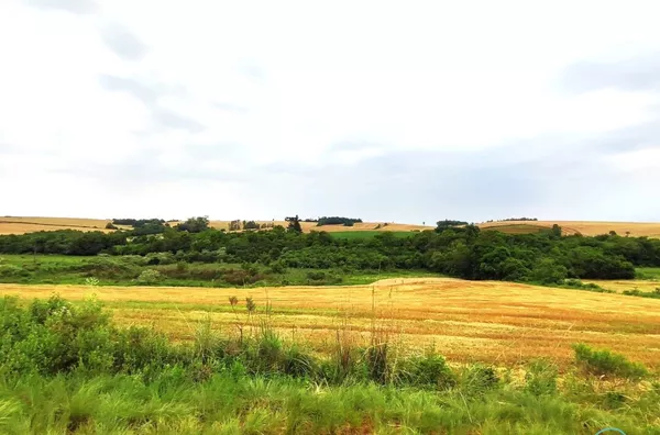 Chácara para venda,  Linha Maraney, Panambi