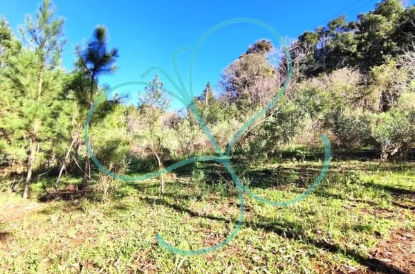 Sítio para venda,  - Selecione - Bairro, Panambi