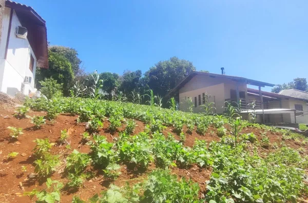 Terreno para venda,  Nossa Senhora De Fátima, Panambi