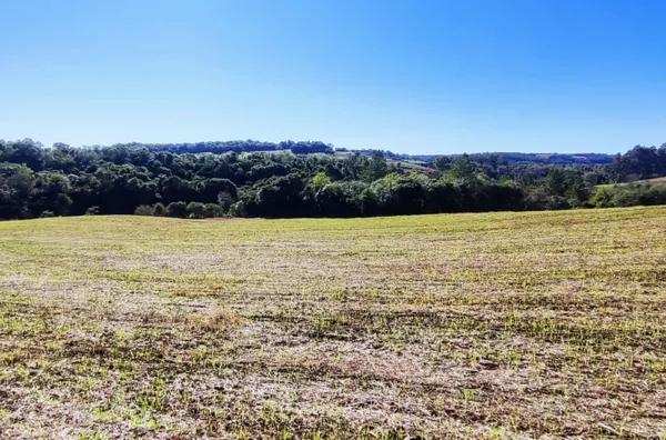 Fazenda para comprar,  Linha Fiúza, Panambi