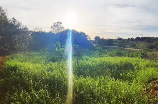 Terreno para ,  Erica, Panambi