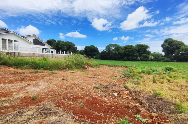 Terreno para venda,  Erica, Panambi