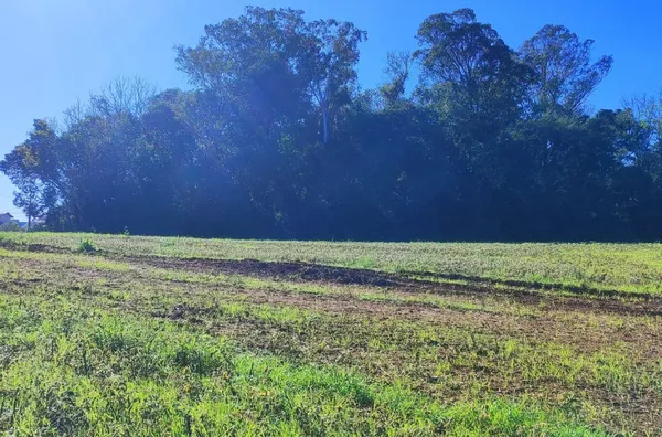 Terreno para venda,  Becker, Panambi