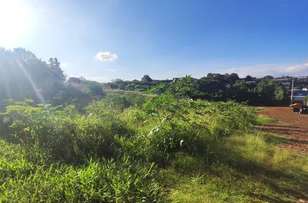 Terreno para venda,  Erica, Panambi