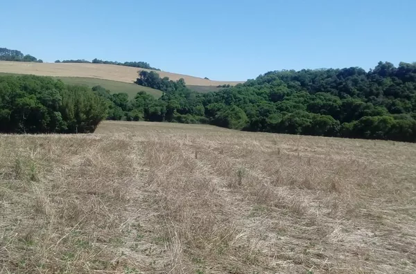 Fazenda para venda 